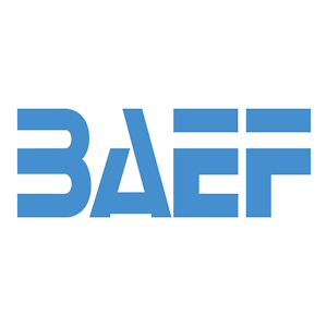 Read more about the article BAEF – Boost your BAEF/FULBRIGHT