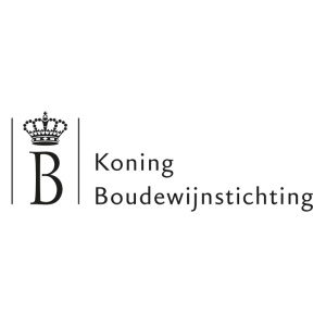 Read more about the article Koning Boudewijn Stichting – Research into the pathogenesis of pancreatic cancer
